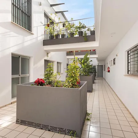 Apartamento Menaleka's House 7